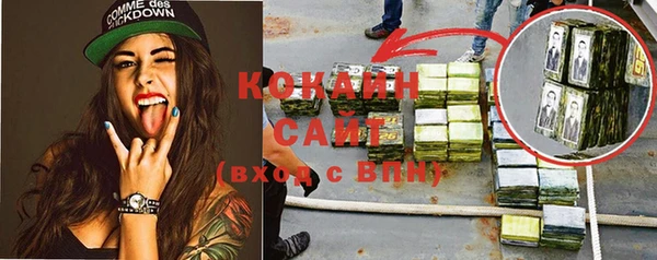 стаф Новодвинск