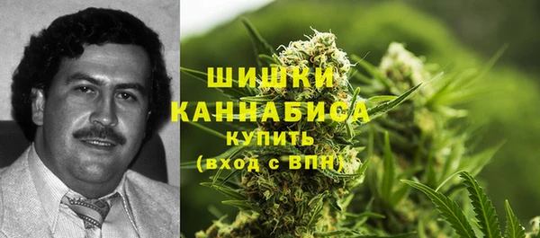 героин Болотное