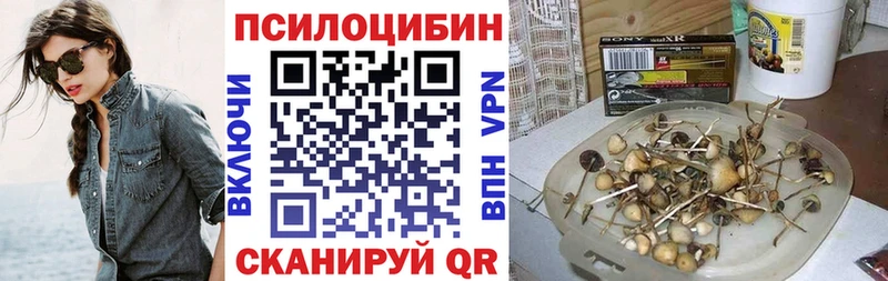 Псилоцибиновые грибы Psilocybe  Темников 